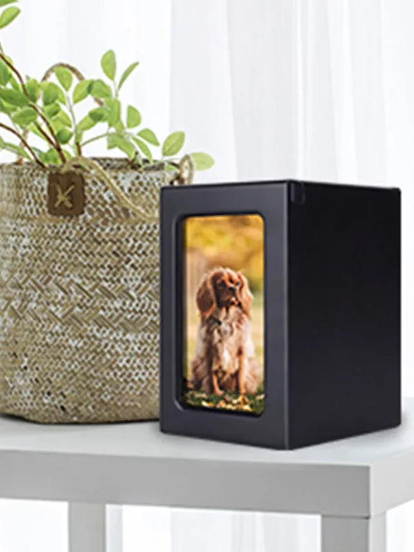Wooden Pet Memorial Box with Photo Frame - Pet Cremation Urn for Dogs, Cats, Birds, and Small Pets - Urns for Cremation Ashes - Image 4