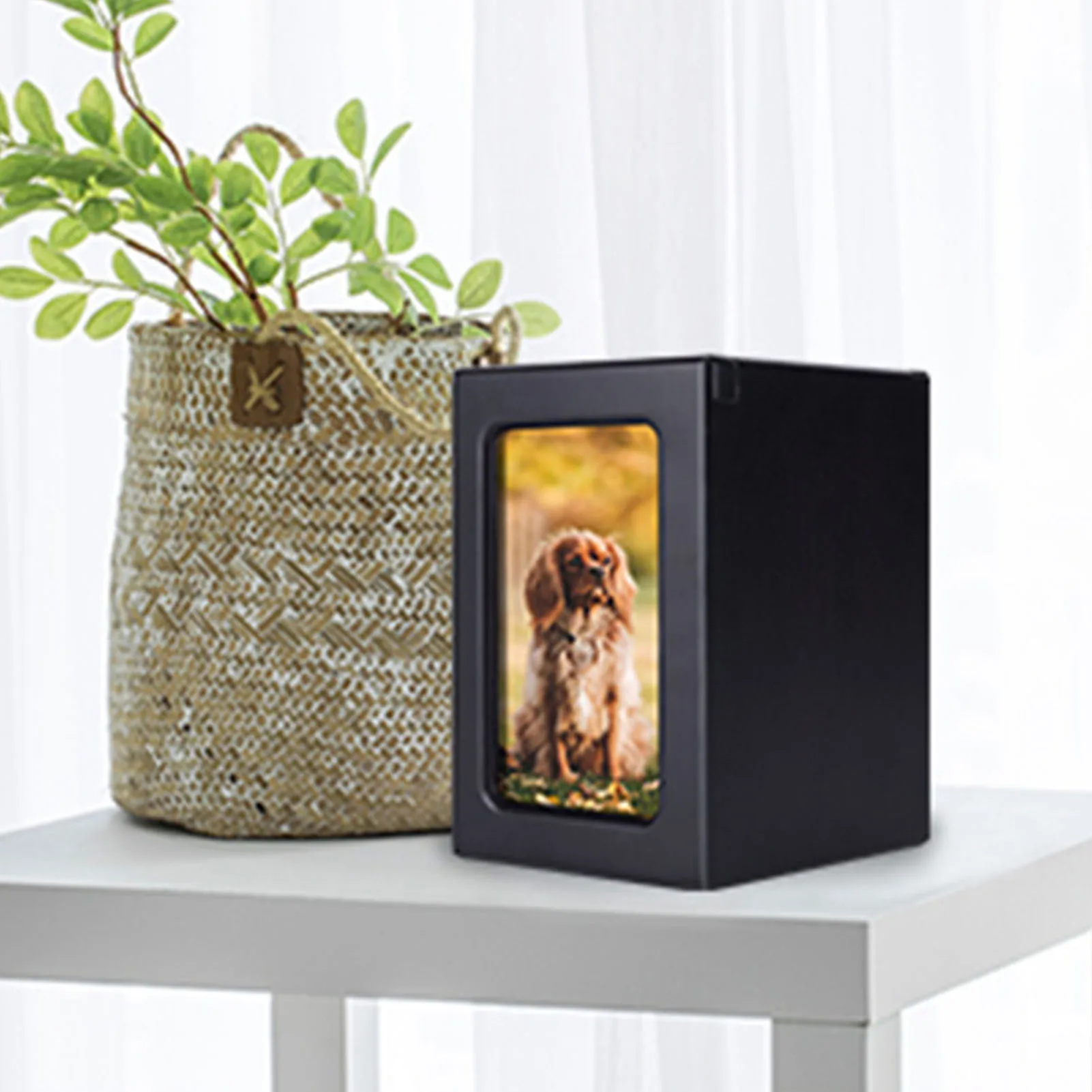 Wooden Pet Memorial Box with Photo Frame - Pet Cremation Urn for Dogs, Cats, Birds, and Small Pets - Urns for Cremation Ashes