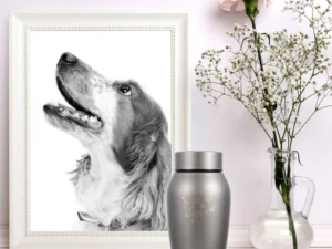 Stainless Steel Small Pet Cremation Urns – Dog and Cat Ashes Memorial – Mini Animal Keepsake Box – Funeral Metal Urns for Cremation